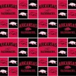 Arkansas Razorbacks Welding Cap